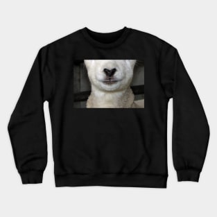 Baa Snout 1 Crewneck Sweatshirt